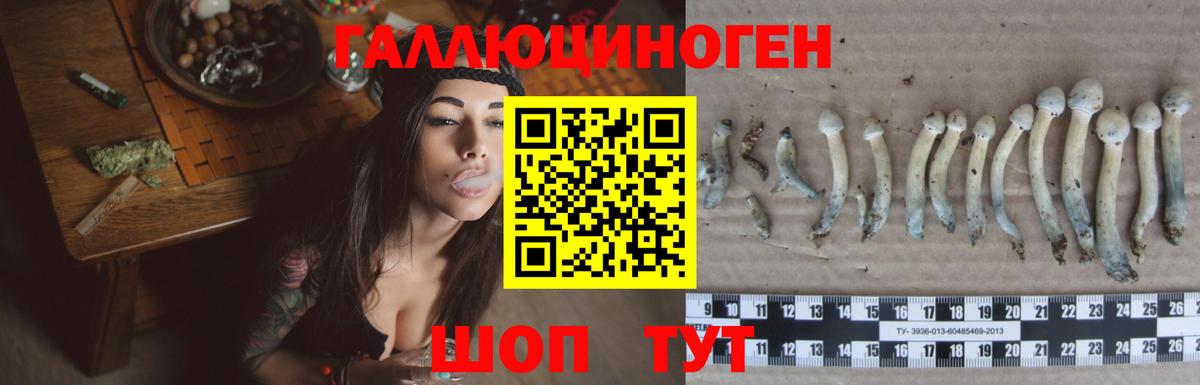 Псилоцибиновые грибы Psilocybe  Псилоцибиновые грибы Psilocybe  Янаул  Вход с VPN 